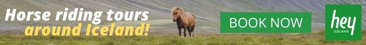 Book your horse riding tour in Iceland now