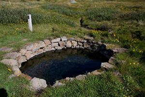 Gvendarlaug