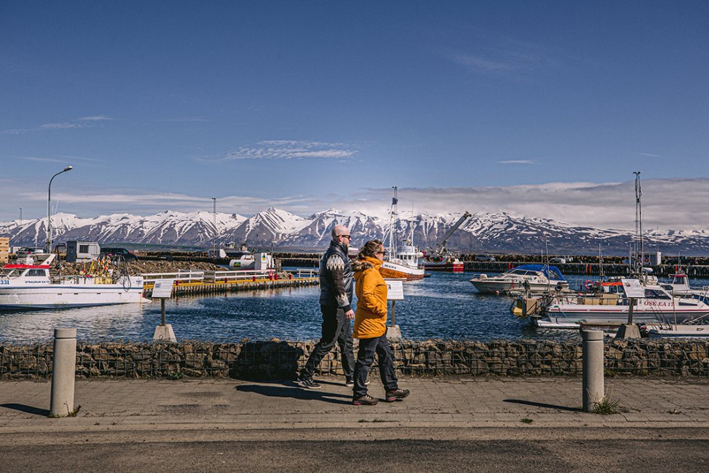 Dalvík visit north.jpg