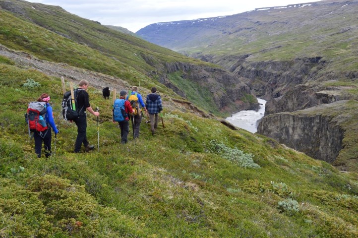 On a nature walk in the East fjords of Iceland
