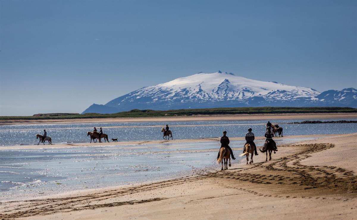 Horse riding on a beach