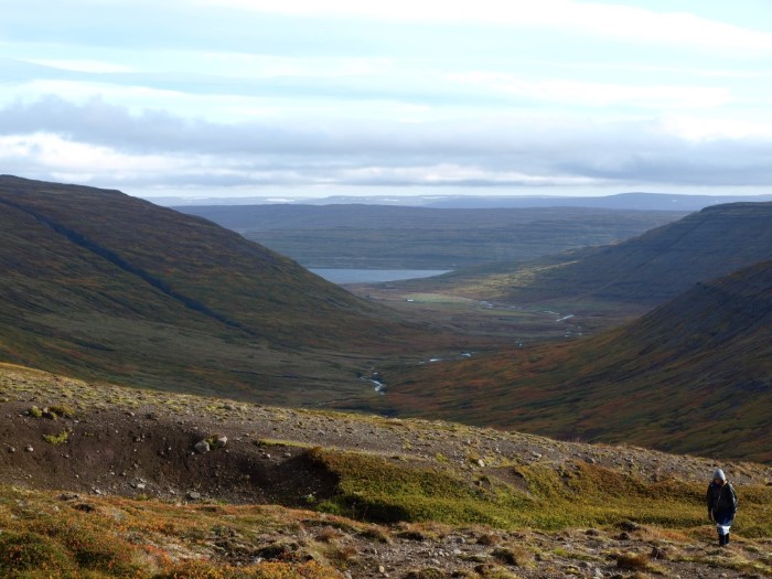 Mountains and fjords