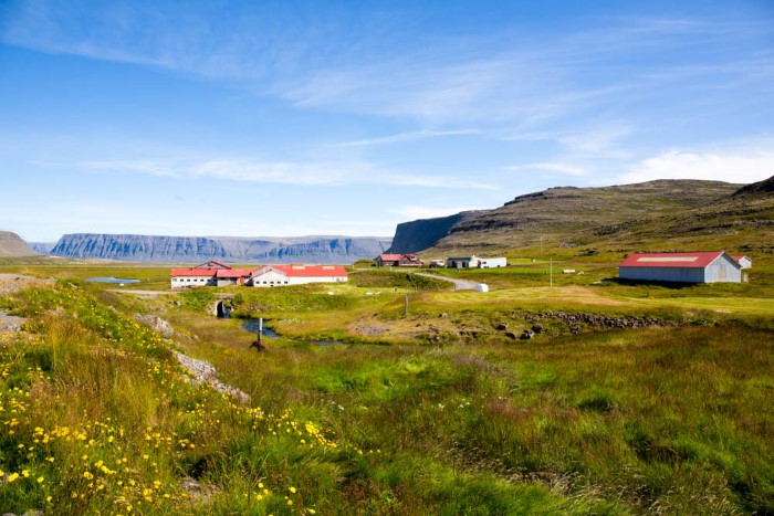 A lovely summer day in the Westfjords
