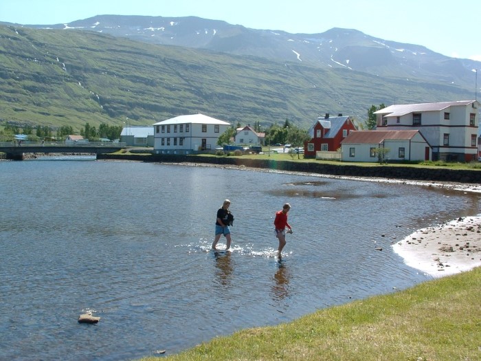 Summer day in Seyðisfjörður