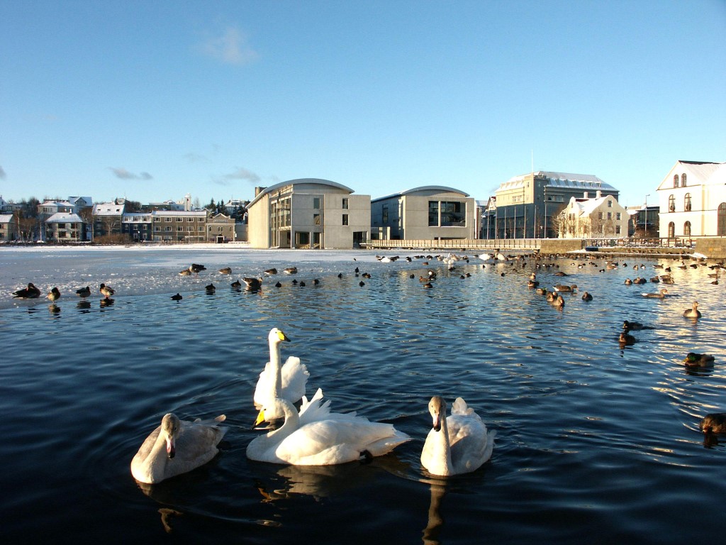 Tjörnin pond