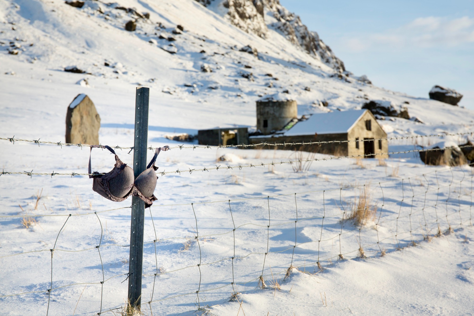 Bra on a fence in Iceland