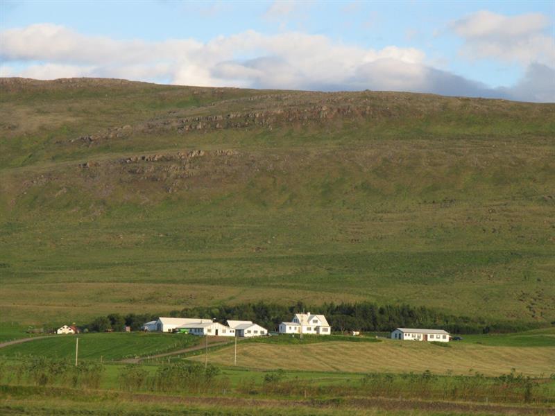 Steindórsstaðir Farm Stay