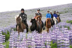 Horse riding with Íshestar