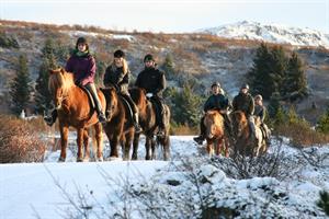 Horse riding with Íshestar