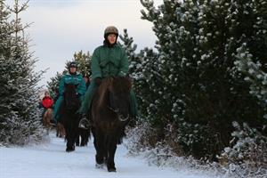Horse riding in the winter with Íshestar