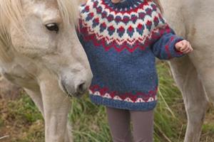 Connecting with the Icelandic horse