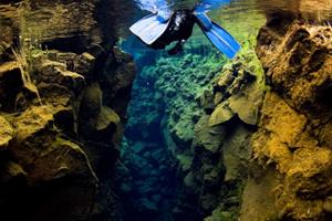 Amazing underwater world