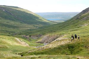 Hiking trails