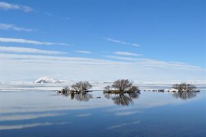 Winter at Lake Mývatn