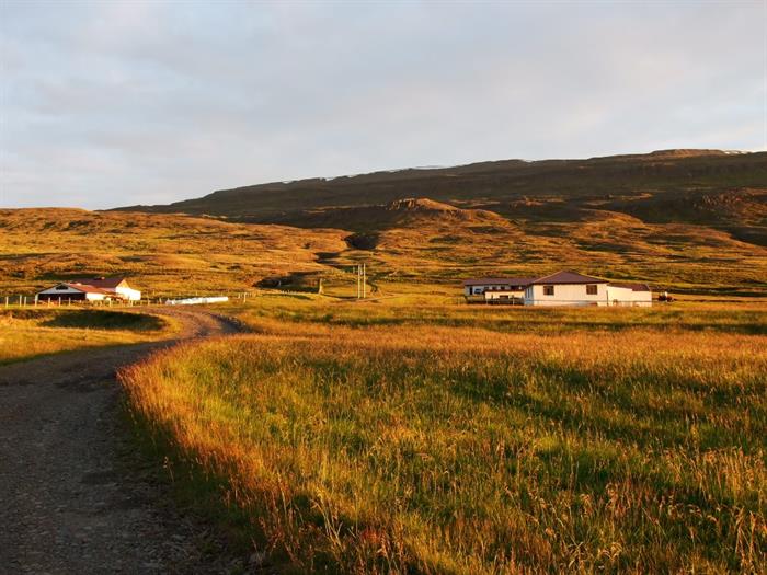 Sölvanes Farm Holiday, North West Iceland