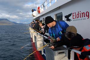 Sea angling