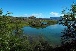 Lake Mývatn