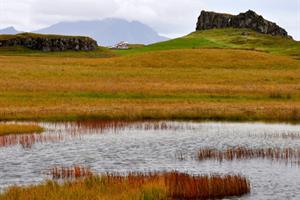 Surroundings of Nýpugarðar