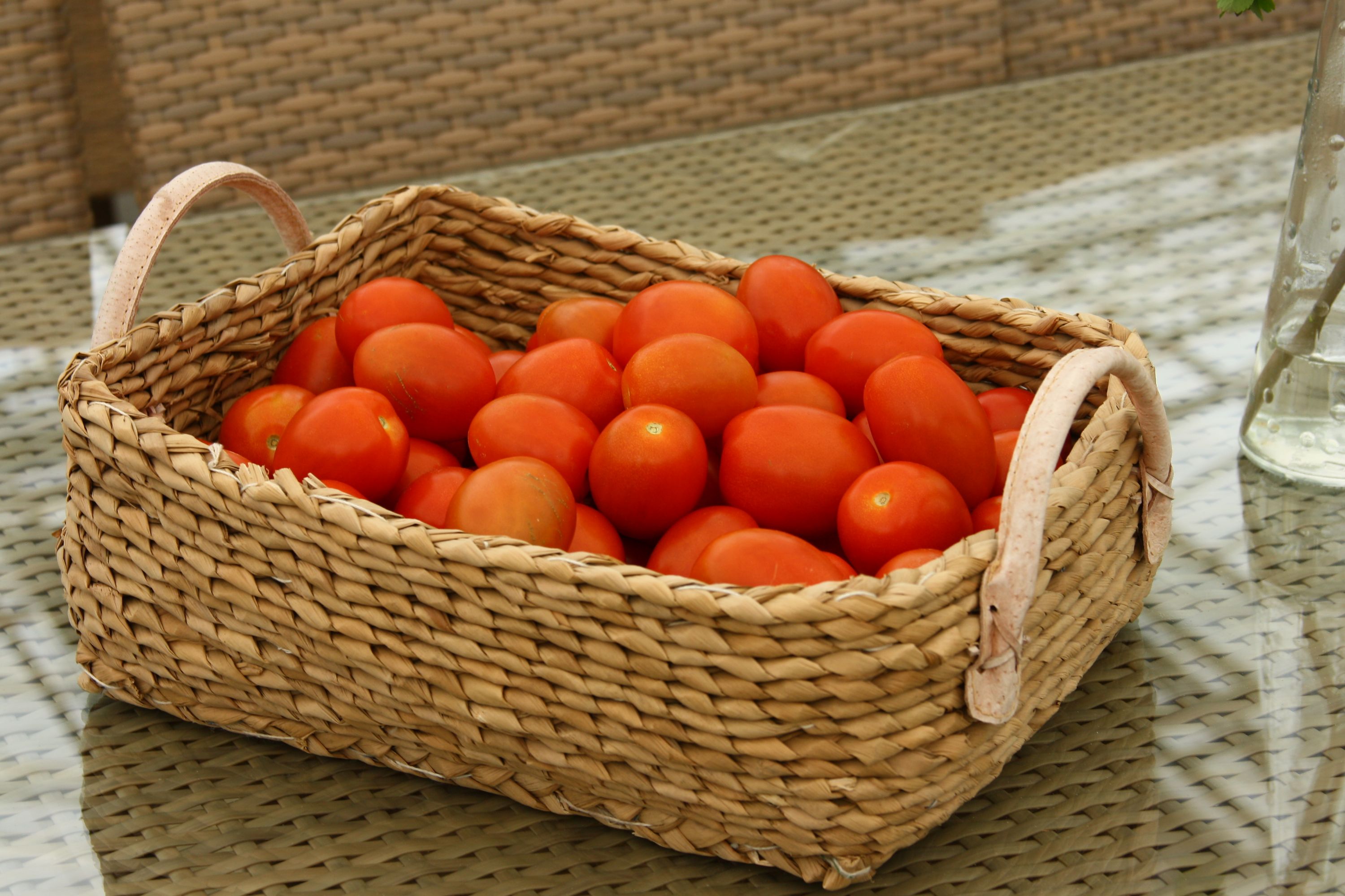 Geothermally grown tomatoes Geothermally grown tomatoes
